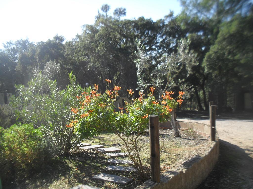Quinta Do Outeiro Alto Villa Constância Eksteriør billede