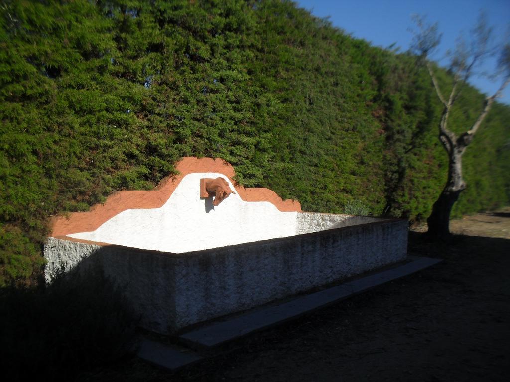 Quinta Do Outeiro Alto Villa Constância Eksteriør billede