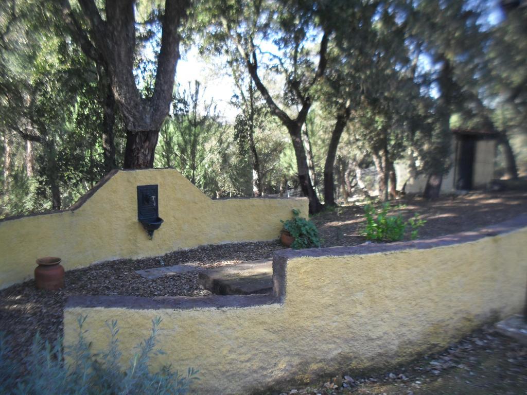 Quinta Do Outeiro Alto Villa Constância Eksteriør billede