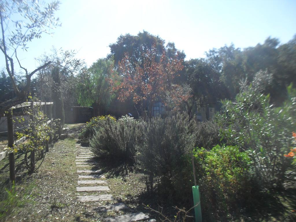 Quinta Do Outeiro Alto Villa Constância Eksteriør billede