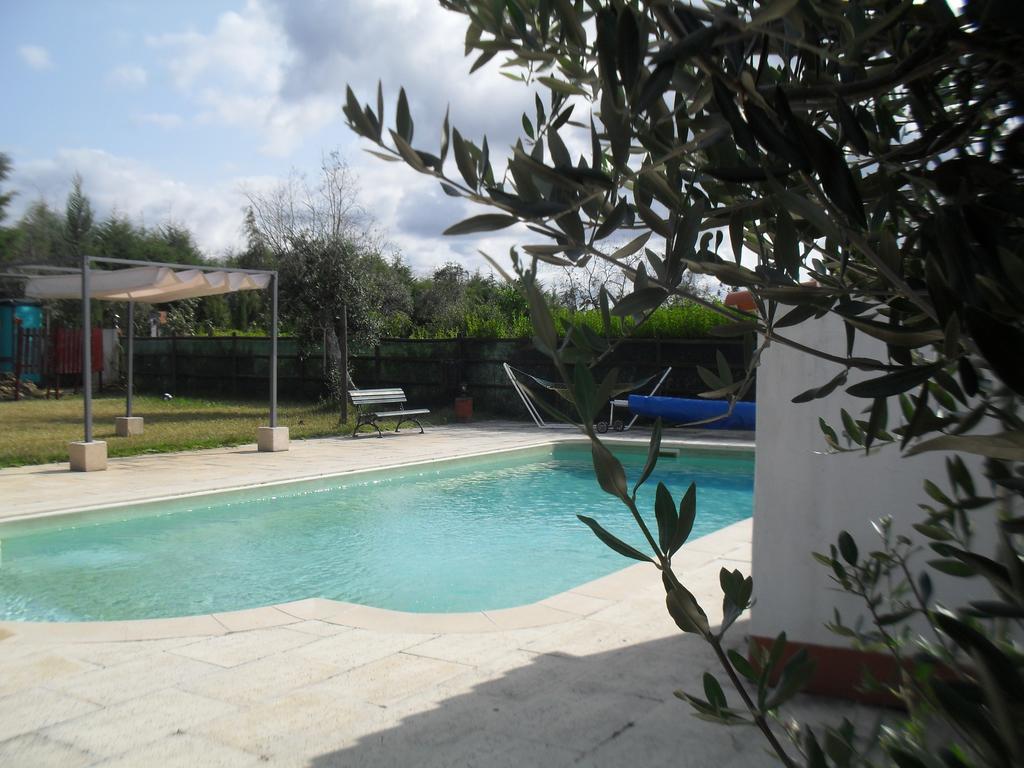 Quinta Do Outeiro Alto Villa Constância Eksteriør billede