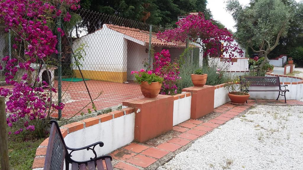 Quinta Do Outeiro Alto Villa Constância Eksteriør billede