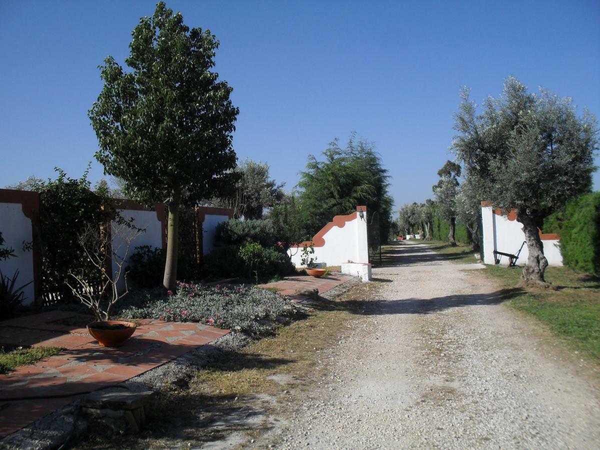 Quinta Do Outeiro Alto Villa Constância Eksteriør billede